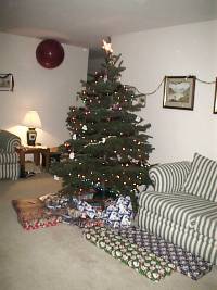 All the presents around the tree - before the feeding frenzy